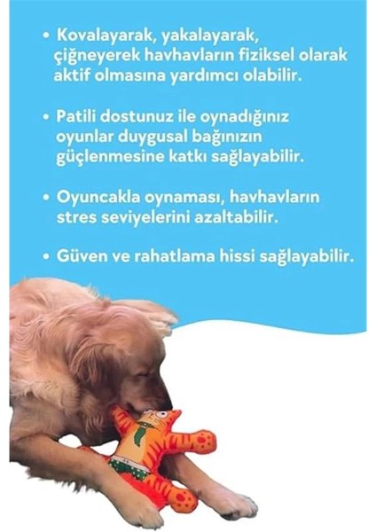 Havhav Mihav Sesli Köpek Oyuncağı Turuncu Renkli Kedi Şekilli Köpek Diş Kaşıma Oyuncağı fırsatları