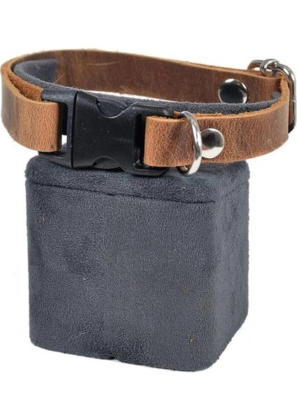 X-Perk Hakiki Deri Kedi Köpek Boyun Tasması