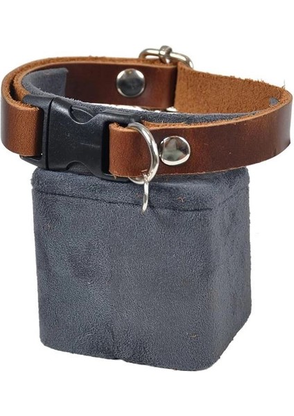 X-Perk Hakiki Deri Kedi Köpek Boyun Tasması fiyatları