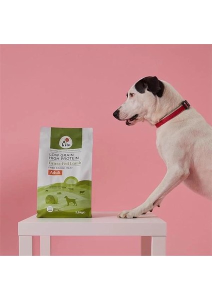 Doğal Besi Kuzu Etli Yetişkin Köpek Maması 15 kg modelleri