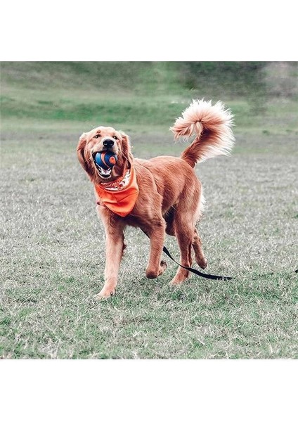 ! Utra Squeaker Sesli Köpek Oyun Topu (Büyük Boy) fiyatları