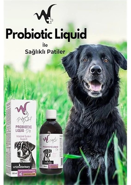 Köpekler Için Sindirim Sistemi Destekleyici Probiyotik Liquid 100 ml fırsatları