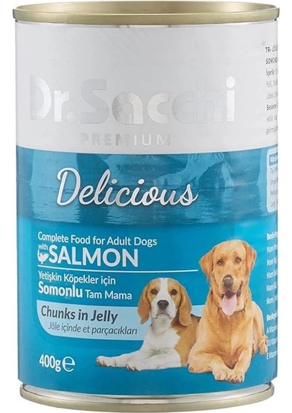 Dr.sacchi Konserve Köpek Somonlu, 400 gr