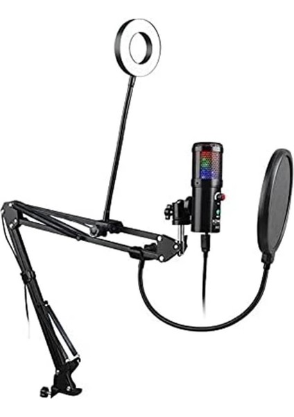 A6S-B Profesyonel Uzaktan Eğitim-Yayıncı Mikrofon Seti Işıklı indirimleri