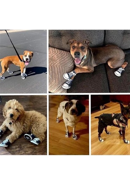 Köpek Ayakkabıları, 4 Adet Nefes Alabilir Köpek Botları, Kaymaz Tuval Spor Ayakkabıları
