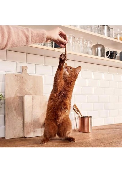 Sticks Tavuklu Kedi Çubuk Ödülü 4lü Parça indirimleri