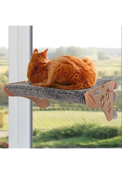 Cama Yapışan Kedi Yğı