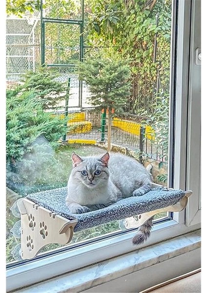 Cama Yapışan Kedi Yğı fiyatları