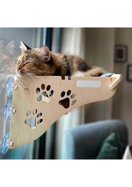 Cama Yapışan Kedi Yğı modelleri