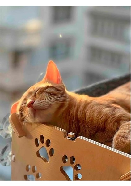 Cama Yapışan Kedi Yğı indirimleri