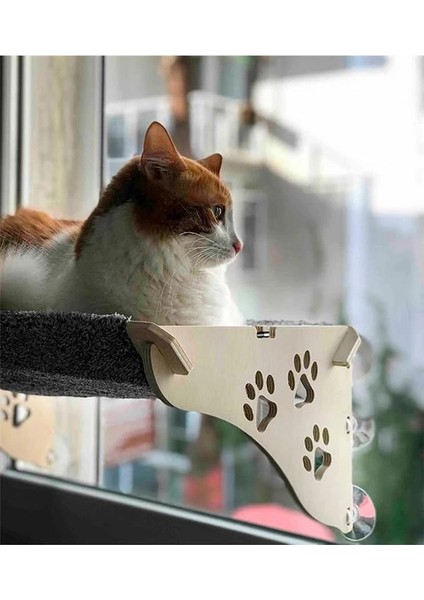 Cama Yapışan Kedi Yğı