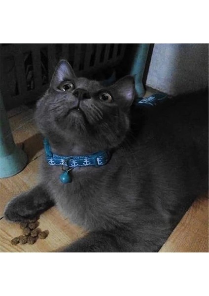 Pawise Çapa Desenli Yeşil Kedi Boyun Tasması 30 cm