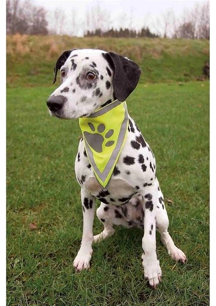 Köpek Bandanası S-M 29-42 Cm, Sarı fiyatları