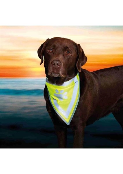 Köpek Bandanası S-M 29-42 Cm, Sarı modelleri