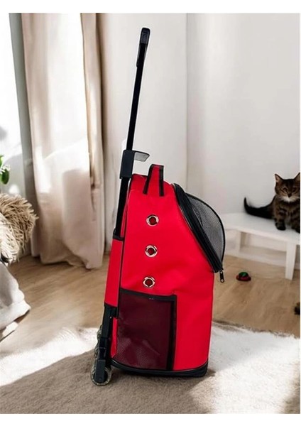 Beylini Tekerlekli Kedi Köpek Taşıma Çantası Fileli Şeffaf Yıkanabilir Evcil Hayvan Taşıma Çantası modelleri