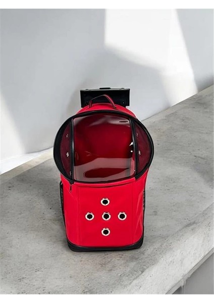 Beylini Tekerlekli Kedi Köpek Taşıma Çantası Fileli Şeffaf Yıkanabilir Evcil Hayvan Taşıma Çantası fırsatları