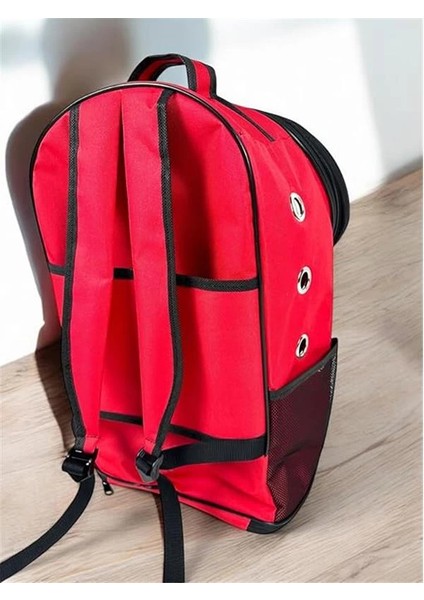 Beylini Tekerlekli Kedi Köpek Taşıma Çantası Fileli Şeffaf Yıkanabilir Evcil Hayvan Taşıma Çantası