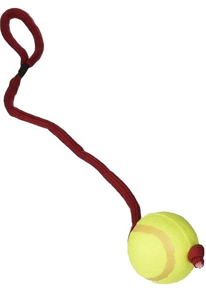 Köpek Oyuncağı , Ipli Tenis Topu 6cm / 50CM