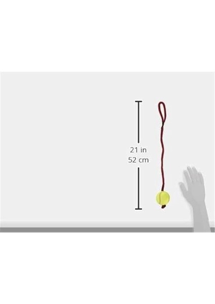 Köpek Oyuncağı , Ipli Tenis Topu 6cm / 50CM fiyatları