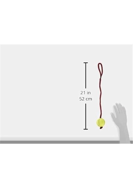 Köpek Oyuncağı , Ipli Tenis Topu 6cm / 50CM modelleri