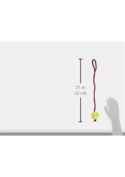 Köpek Oyuncağı , Ipli Tenis Topu 6cm / 50CM fırsatları