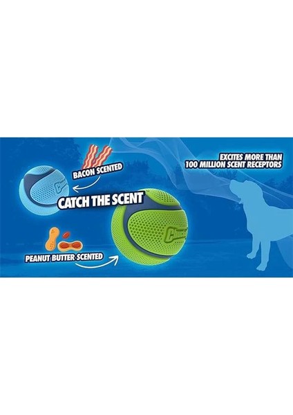 Köpek Oyuncağı , Ipli Tenis Topu 6cm / 50CM indirimleri