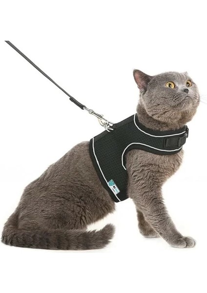 Yeni Nesil Nefes Alabilen Kedi Göğüs Tasması Seti (Large, Siyah)