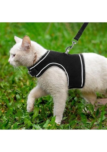 Yeni Nesil Nefes Alabilen Kedi Göğüs Tasması Seti (Large, Siyah) indirimleri