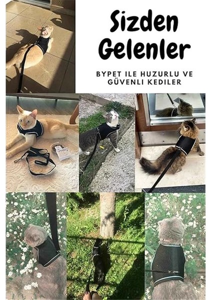 Yeni Nesil Nefes Alabilen Kedi Göğüs Tasması Seti (Large, Siyah)