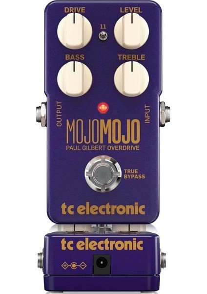 Mojomojo Paul Gılbert Edıtıon