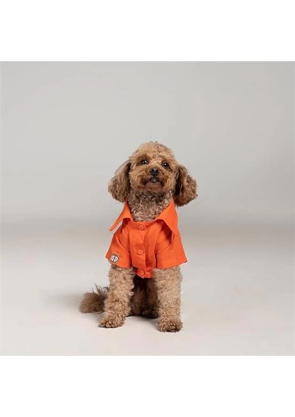 Beach Bum - Turuncu Yazlık Köpek Gömleği (Küçük Irklar) (Large)