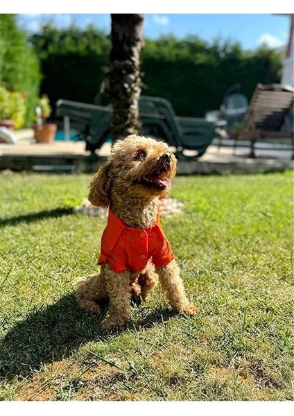 Beach Bum - Turuncu Yazlık Köpek Gömleği (Küçük Irklar) (Large) modelleri