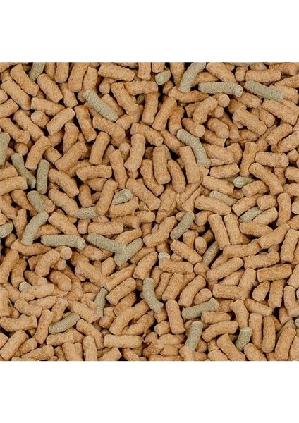 Raffy P Kaplumbağa Yemi 1000 ml 250 gr fiyatları