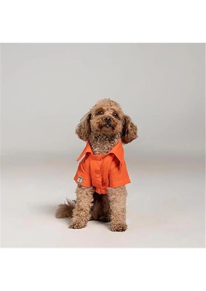 Beach Bum - Turuncu Yazlık Köpek Gömleği (Küçük Irklar) (Large)