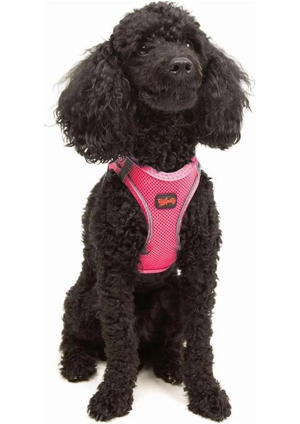 Air-Mesh Küçük ve Orta Irk Kedi Köpek Göğüs Tasması - Yumuşak, Nefes Alabilir, Dayanıklı