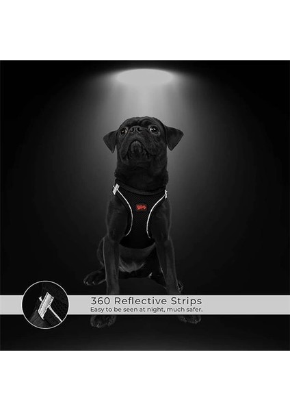 Air-Mesh Küçük ve Orta Irk Kedi Köpek Göğüs Tasması - Yumuşak, Nefes Alabilir, Dayanıklı indirimleri