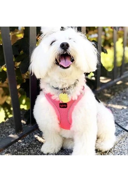 Air-Mesh Küçük ve Orta Irk Kedi Köpek Göğüs Tasması - Yumuşak, Nefes Alabilir, Dayanıklı