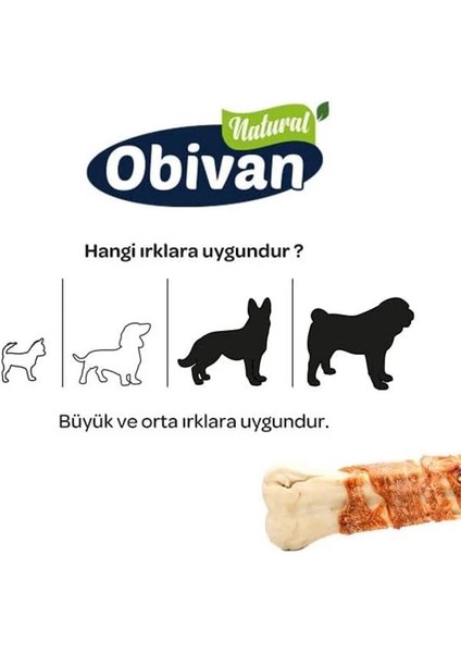 Tavuklu Köpek Diş Bakım Kemiği M (1 Adet) fırsatları