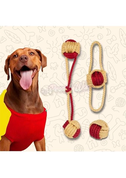 Köpek Oyuncağı Fanatik Üçlü Set Diş Ipi Diş Sağlığı Köpek Topu Sarı Kırmızı Orta Iri Irk