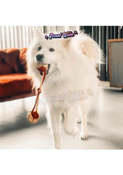 Köpek Oyuncağı Fanatik Üçlü Set Diş Ipi Diş Sağlığı Köpek Topu Sarı Kırmızı Orta Iri Irk