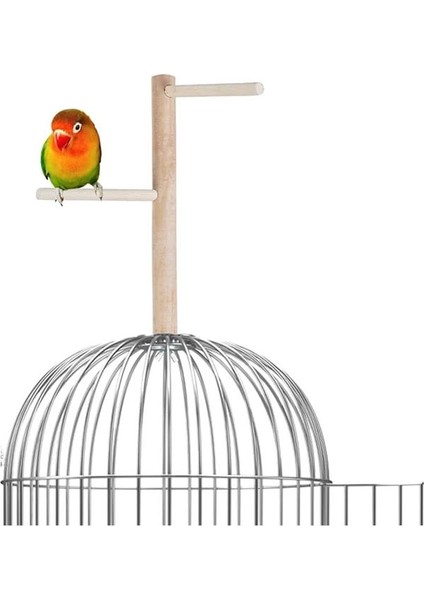 X-Perk Ağaç Sopalı Kuş Tüneği Kuş Parkuru Tünek Boy 23 cm