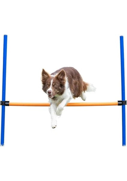 Köpek Agility Eğitim Manisi , 123×115×Ø3 cm
