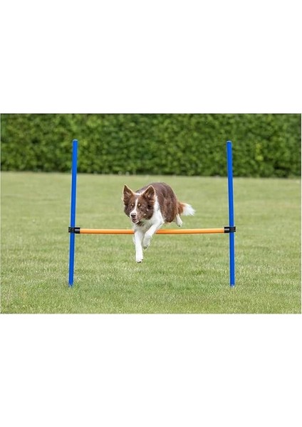 Köpek Agility Eğitim Manisi , 123×115×Ø3 cm fiyatları