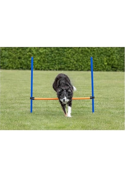 Köpek Agility Eğitim Manisi , 123×115×Ø3 cm