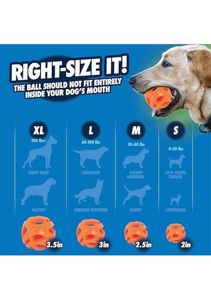 ! Air Fetch Ball Small 2'li Paket modelleri