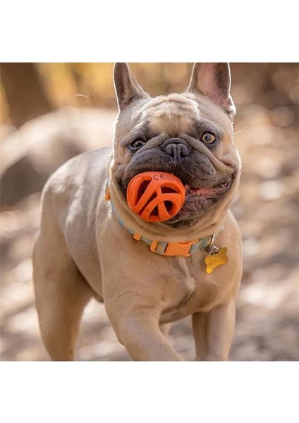 ! Air Fetch Ball Small 2'li Paket fırsatları