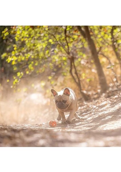 ! Air Fetch Ball Small 2'li Paket indirimleri