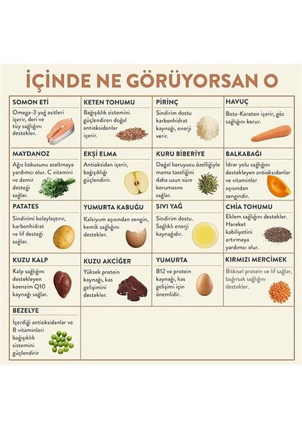 Fresh Somon Etli Taze Kedi Yemeği fiyatları