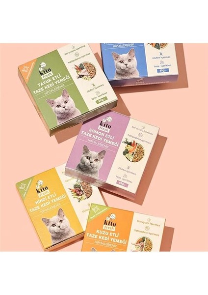 Fresh Somon Etli Taze Kedi Yemeği