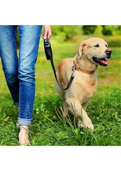 Pee Post Dış Mekan Tuvalet Eğitim Kazığı fırsatları